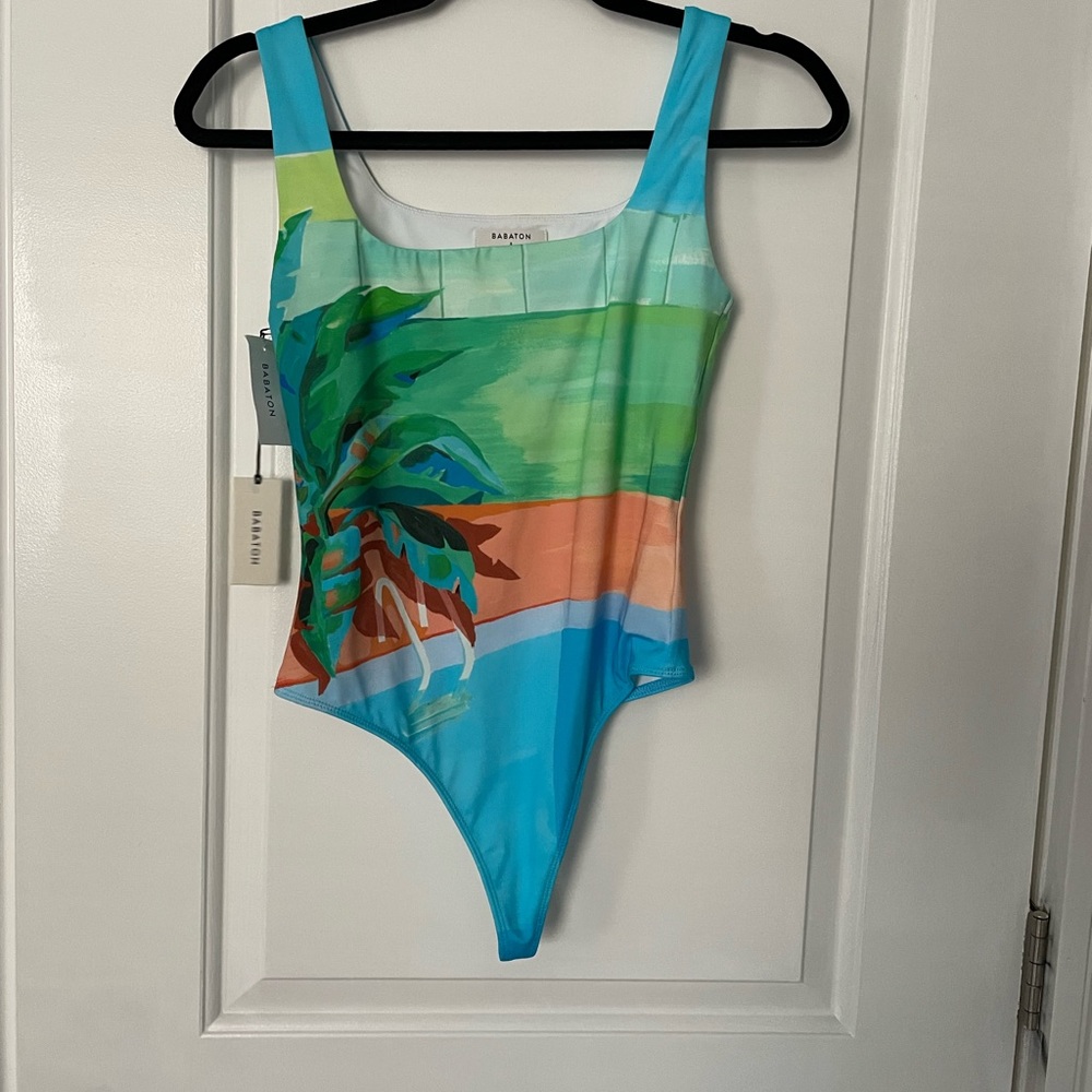 Babaton bodysuit